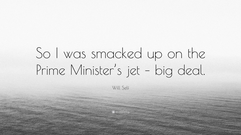 Will Self Quote: “So I was smacked up on the Prime Minister’s jet – big deal.”