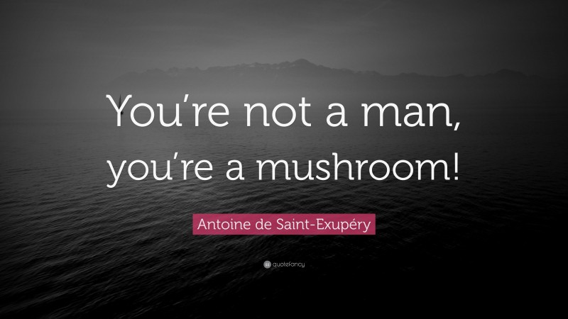 Antoine de Saint-Exupéry Quote: “You’re not a man, you’re a mushroom!”