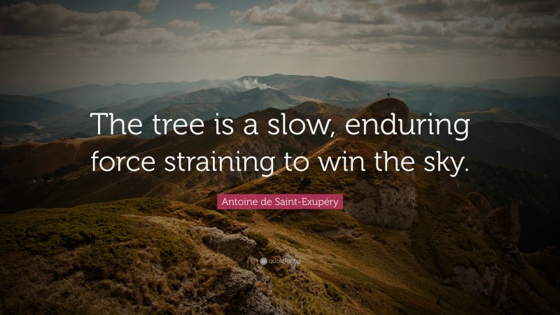 Antoine de Saint-Exupéry Quote: “The tree is a slow, enduring force straining to win the sky.”