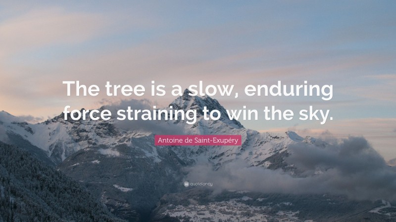 Antoine de Saint-Exupéry Quote: “The tree is a slow, enduring force straining to win the sky.”