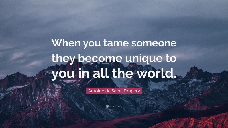 Antoine de Saint-Exupéry Quote: “When you tame someone they become unique to you in all the world.”