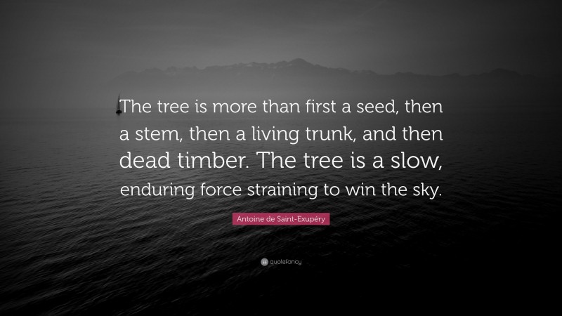 Antoine de Saint-Exupéry Quote: “The tree is more than first a seed, then a stem, then a living trunk, and then dead timber. The tree is a slow, enduring force straining to win the sky.”