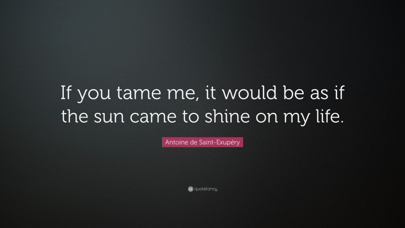Antoine de Saint-Exupéry Quote: “If you tame me, it would be as if the sun came to shine on my life.”