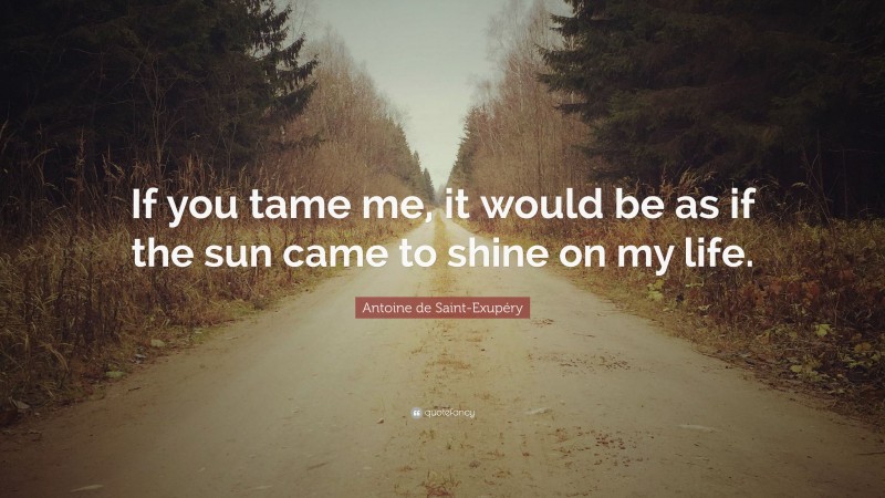 Antoine de Saint-Exupéry Quote: “If you tame me, it would be as if the sun came to shine on my life.”