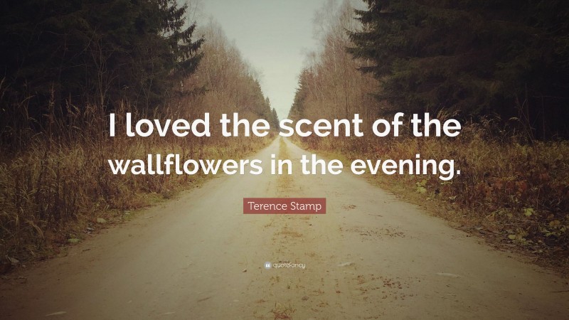 Terence Stamp Quote: “I loved the scent of the wallflowers in the evening.”