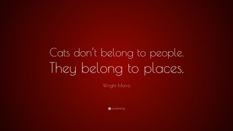 Wright Morris Quote: “Cats don’t belong to people. They belong to places.”