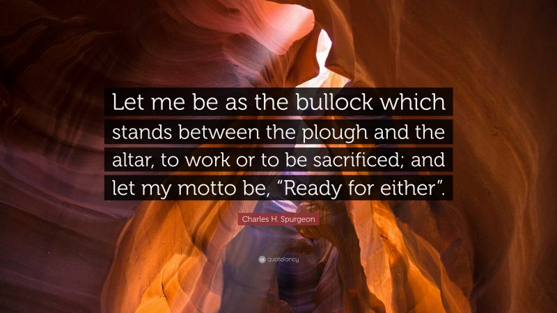 Charles H. Spurgeon Quote: “Let me be as the bullock which stands between the plough and the altar, to work or to be sacrificed; and let my motto be, “Ready for either”.”