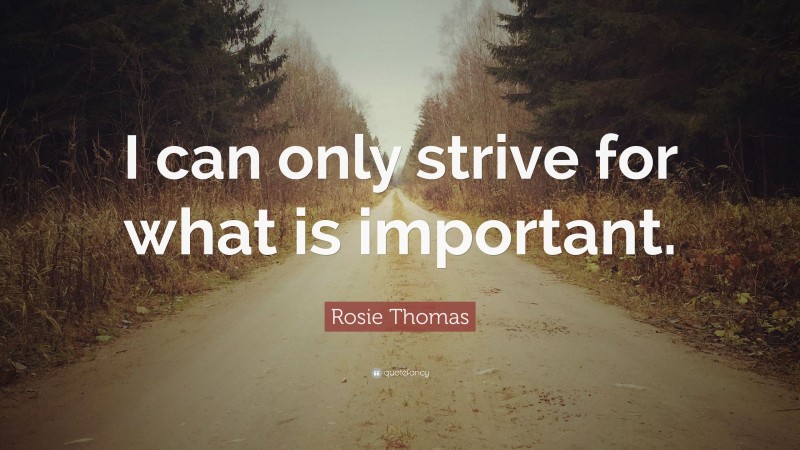 Rosie Thomas Quote: “I can only strive for what is important.”
