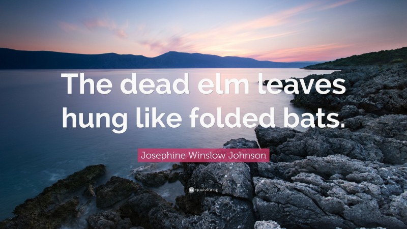 Josephine Winslow Johnson Quote: “The dead elm leaves hung like folded bats.”