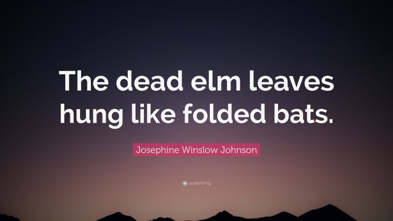 Josephine Winslow Johnson Quote: “The dead elm leaves hung like folded bats.”