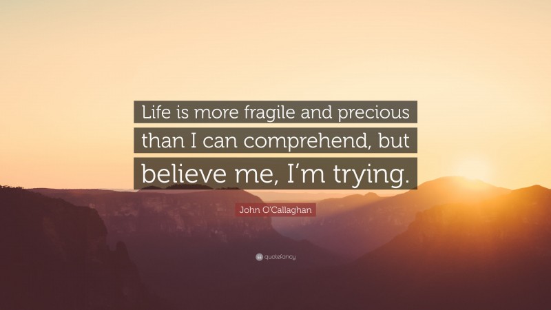 John O'Callaghan Quote: “Life is more fragile and precious than I can comprehend, but believe me, I’m trying.”
