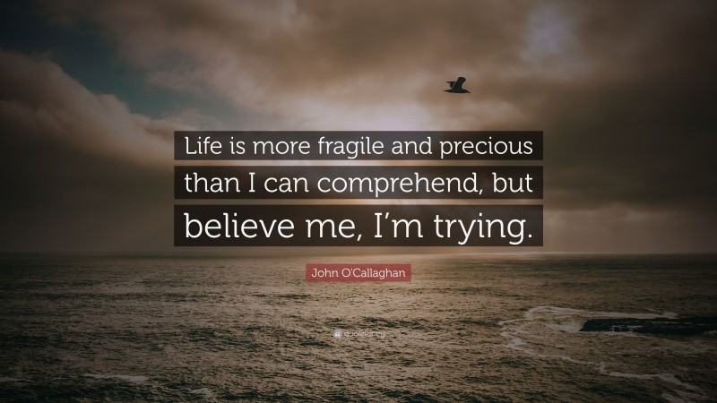 John O'Callaghan Quote: “Life is more fragile and precious than I can comprehend, but believe me, I’m trying.”