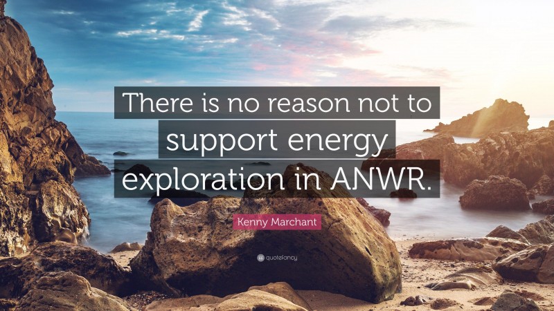 Kenny Marchant Quote: “There is no reason not to support energy exploration in ANWR.”