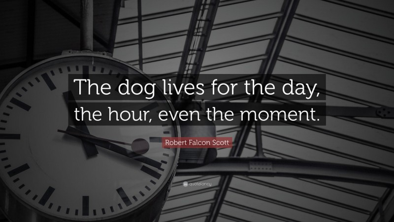 Robert Falcon Scott Quote: “The dog lives for the day, the hour, even the moment.”