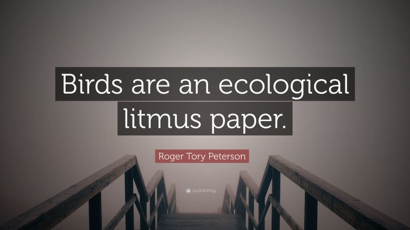 Roger Tory Peterson Quote: “Birds are an ecological litmus paper.”