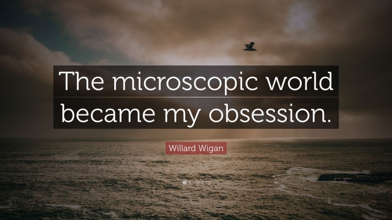 Willard Wigan Quote: “The microscopic world became my obsession.”