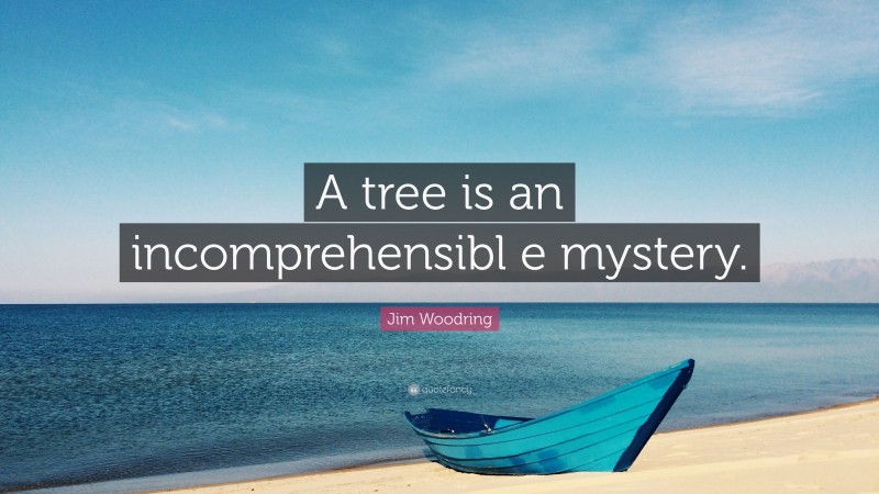 Jim Woodring Quote: “A tree is an incomprehensibl e mystery.”