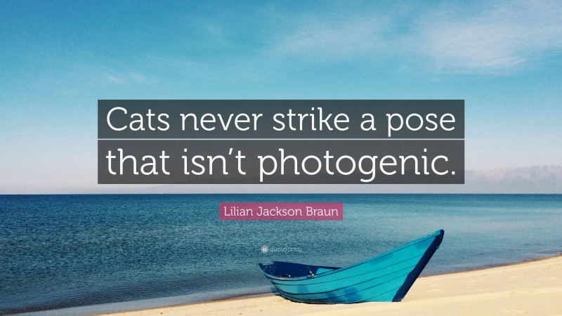 Lilian Jackson Braun Quote: “Cats never strike a pose that isn’t photogenic.”