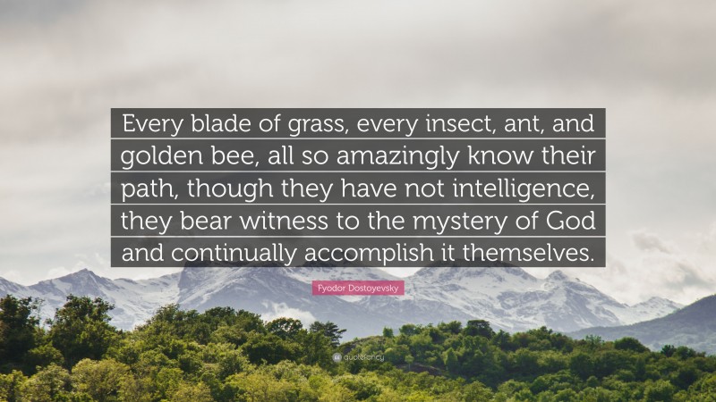 Fyodor Dostoyevsky Quote: “Every blade of grass, every insect, ant, and golden bee, all so amazingly know their path, though they have not intelligence, they bear witness to the mystery of God and continually accomplish it themselves.”