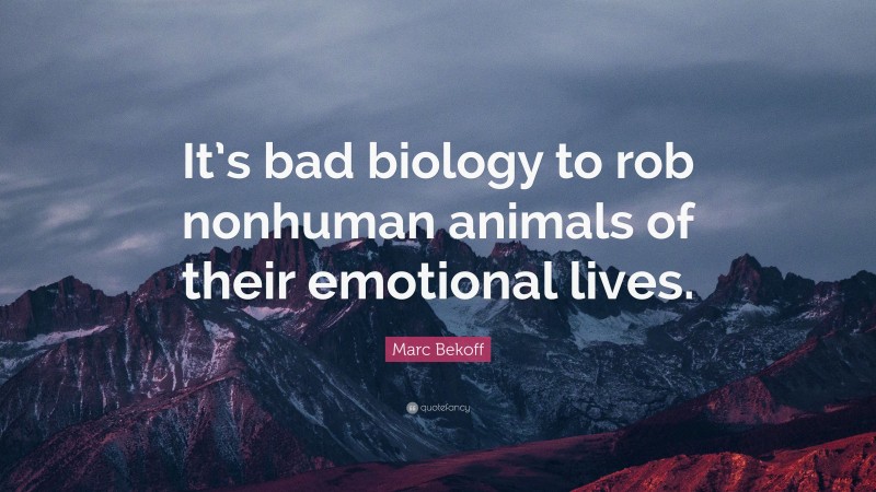 Marc Bekoff Quote: “It’s bad biology to rob nonhuman animals of their emotional lives.”