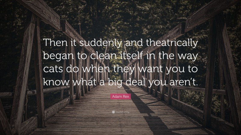 Adam Rex Quote: “Then it suddenly and theatrically began to clean itself in the way cats do when they want you to know what a big deal you aren’t.”