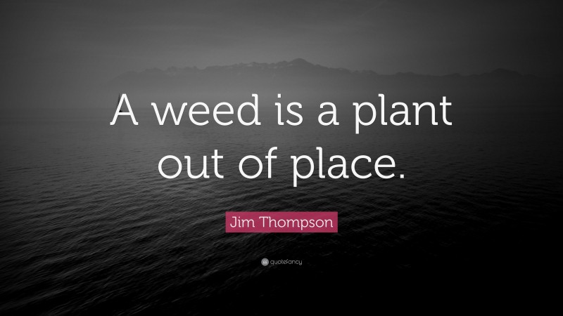 Jim Thompson Quote: “A weed is a plant out of place.”