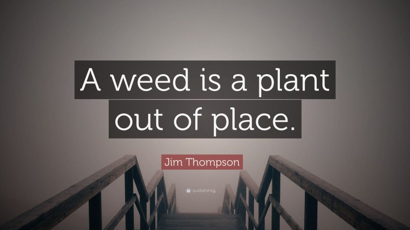 Jim Thompson Quote: “A weed is a plant out of place.”