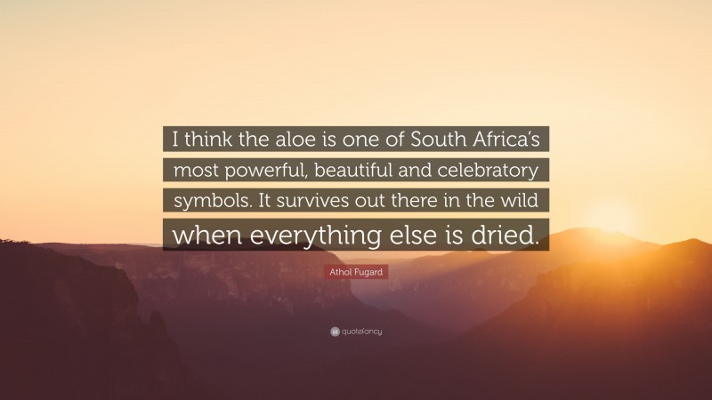 Athol Fugard Quote: “I think the aloe is one of South Africa’s most powerful, beautiful and celebratory symbols. It survives out there in the wild when everything else is dried.”