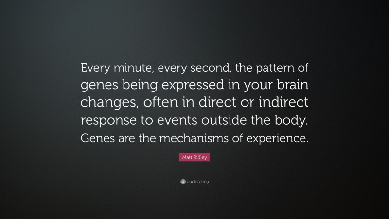 Matt Ridley Quote: “Every minute, every second, the pattern of genes being expressed in your brain changes, often in direct or indirect response to events outside the body. Genes are the mechanisms of experience.”