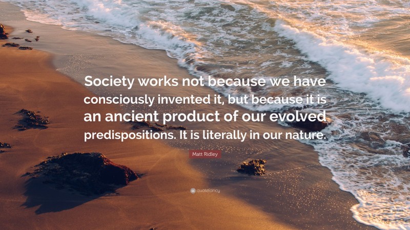 Matt Ridley Quote: “Society works not because we have consciously invented it, but because it is an ancient product of our evolved predispositions. It is literally in our nature.”