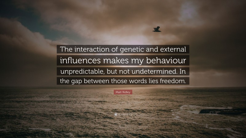 Matt Ridley Quote: “The interaction of genetic and external influences makes my behaviour unpredictable, but not undetermined. In the gap between those words lies freedom.”