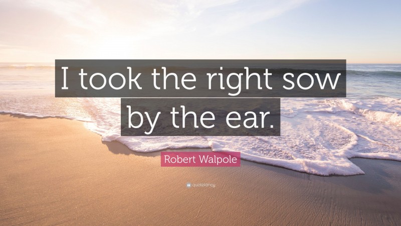 Robert Walpole Quote: “I took the right sow by the ear.”