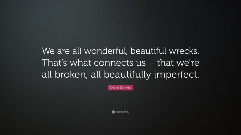 Emilio Estevez Quote: “We are all wonderful, beautiful wrecks. That’s what connects us – that we’re all broken, all beautifully imperfect.”