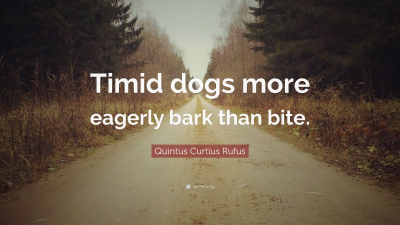 Quintus Curtius Rufus Quote: “Timid dogs more eagerly bark than bite.”
