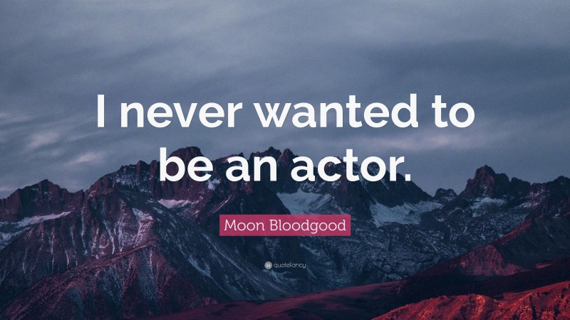 Moon Bloodgood Quote: “I never wanted to be an actor.”