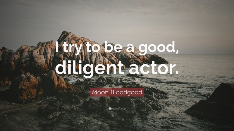 Moon Bloodgood Quote: “I try to be a good, diligent actor.”