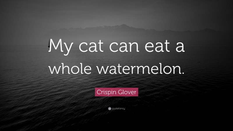 Crispin Glover Quote: “My cat can eat a whole watermelon.”