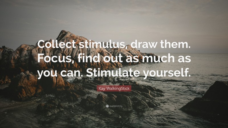 Kay WalkingStick Quote: “Collect stimulus, draw them. Focus, find out as much as you can. Stimulate yourself.”