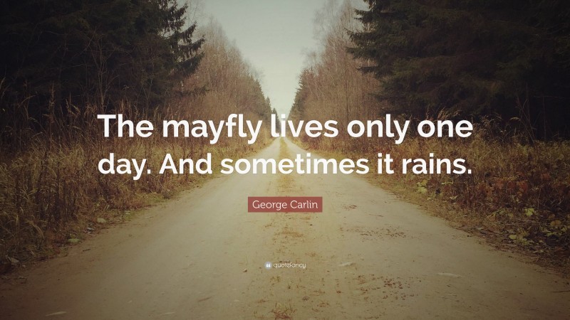 George Carlin Quote: “The mayfly lives only one day. And sometimes it rains.”