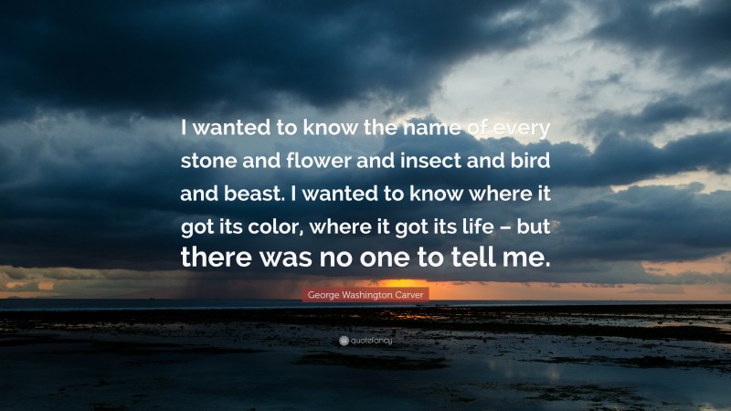 George Washington Carver Quote: “I wanted to know the name of every stone and flower and insect and bird and beast. I wanted to know where it got its color, where it got its life – but there was no one to tell me.”