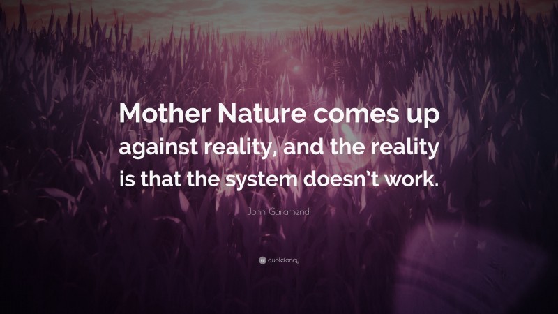 John Garamendi Quote: “Mother Nature comes up against reality, and the reality is that the system doesn’t work.”