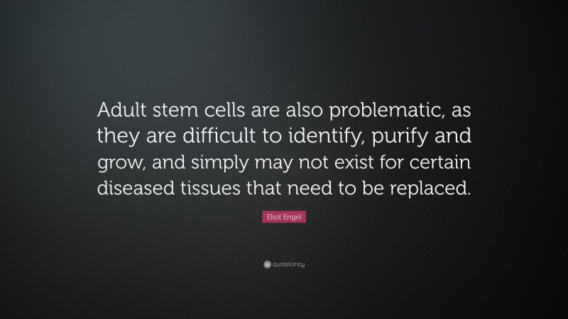 Eliot Engel Quote: “Adult stem cells are also problematic, as they are difficult to identify, purify and grow, and simply may not exist for certain diseased tissues that need to be replaced.”