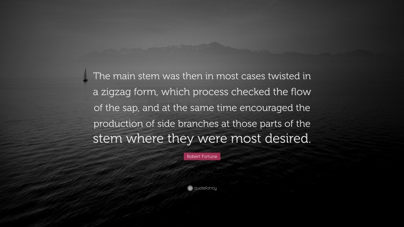 Robert Fortune Quote: “The main stem was then in most cases twisted in a zigzag form, which process checked the flow of the sap, and at the same time encouraged the production of side branches at those parts of the stem where they were most desired.”