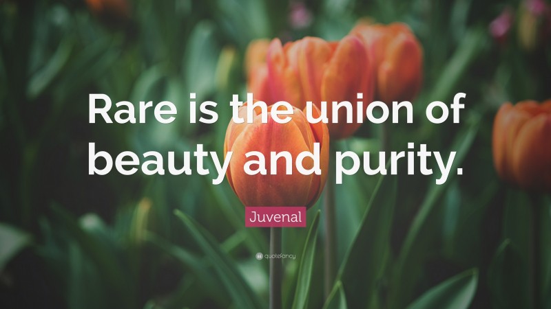 Juvenal Quote: “Rare is the union of beauty and purity.”