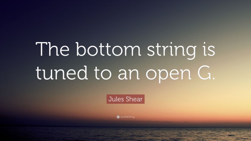 Jules Shear Quote: “The bottom string is tuned to an open G.”