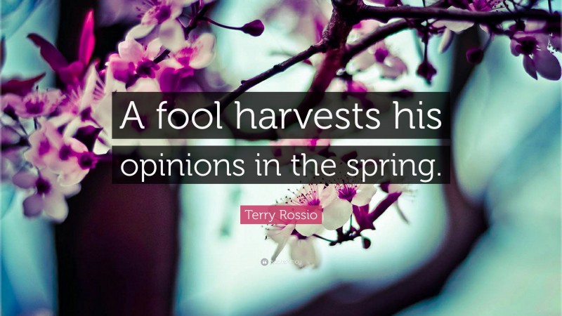 Terry Rossio Quote: “A fool harvests his opinions in the spring.”