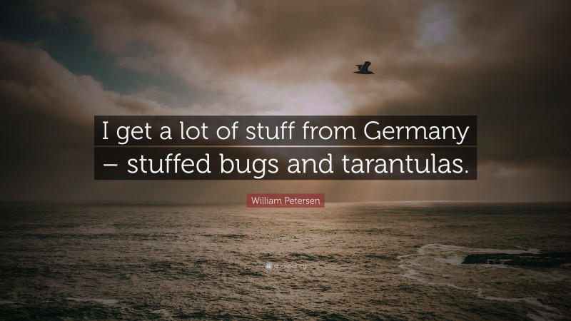 William Petersen Quote: “I get a lot of stuff from Germany – stuffed bugs and tarantulas.”