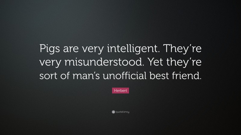 Herbert Quote: “Pigs are very intelligent. They’re very misunderstood. Yet they’re sort of man’s unofficial best friend.”