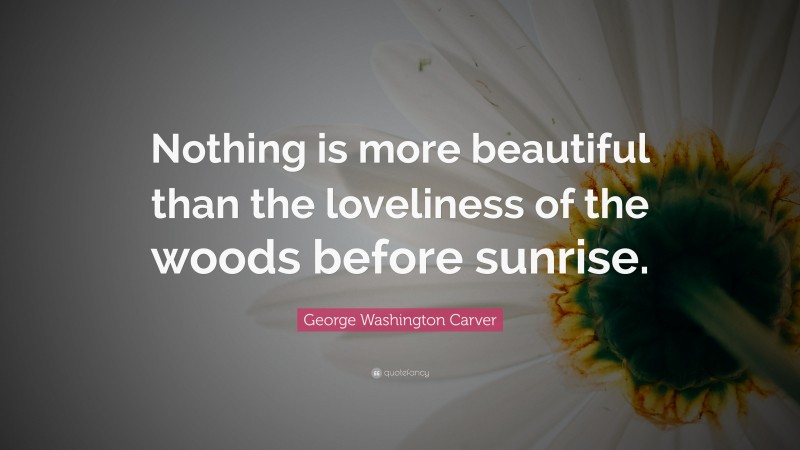 George Washington Carver Quote: “Nothing is more beautiful than the loveliness of the woods before sunrise.”