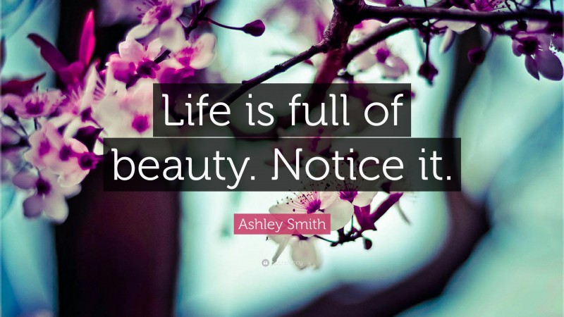 Ashley Smith Quote: “Life is full of beauty. Notice it.”